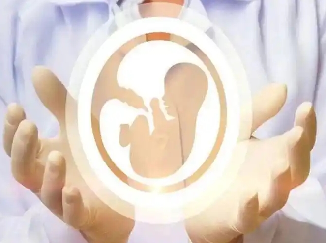 上海供卵机构做供卵合理价格？